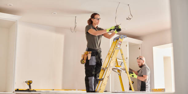 Best Generator Installation Services  in Richmond, MI